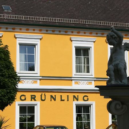 Gasthof Gruenling Wallsee Bagian luar foto