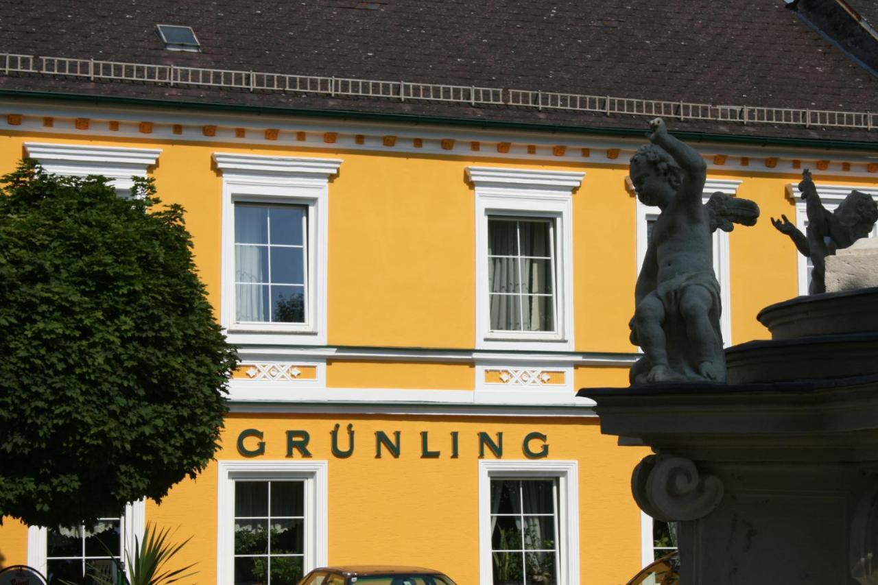 Gasthof Gruenling Wallsee Bagian luar foto